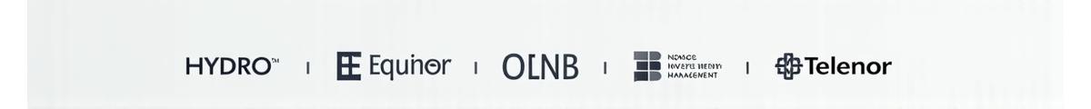 Logoer fra Hydro, Equinor, DNB, Norges Bank Investment Management, og Telenor, som representerer selskaper vi har jobbet med eller har tilknytning til i Norge.